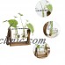 Creative vase plant glass hydroponic container farm decorative decorations Z5U7 192701781163  332632828780
